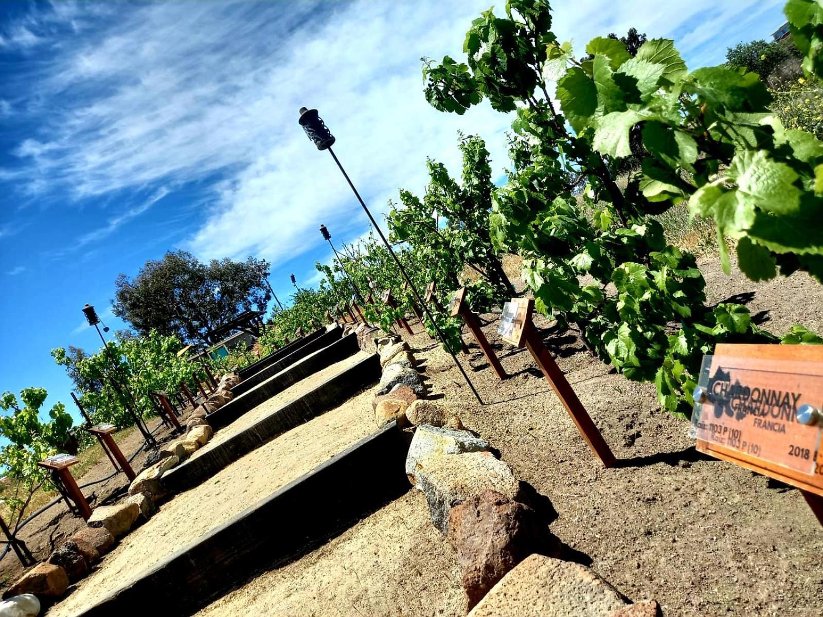 Finca Vidandrei Casa Eucalipto บาเย เด กัวลาลูเป ภายนอก รูปภาพ